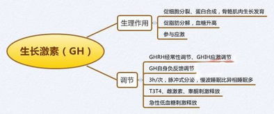 生理學思維導圖,醫學生收藏