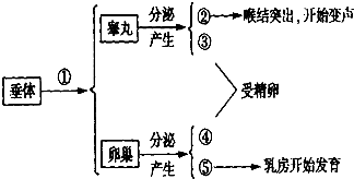 如圖是人體血液中某物質含量變化情況.Ⅰ.Ⅱ.Ⅲ.Ⅳ表示血液流經的器官或結構.下列說法正確的是( )A.若該物質為氧氣.則Ⅲ表示組織細胞B.若該物質為二氧化碳.則Ⅰ表示肺部毛細血管C.若該物質為尿素.則Ⅲ表示腎單位D.若該物質為營養(yǎng)物質.則Ⅰ表示小腸 題目和參考答案