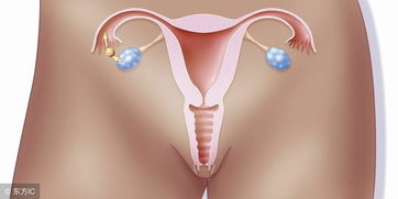 患了多囊卵巢好擔心,是不是不會懷孕了