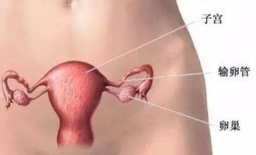 失去子宮的女性,還能過夫妻生活嗎 很多人不明白,別再疏忽了