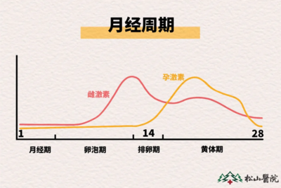 生理期情緒如“過山車”？生殖激素在背后搗亂