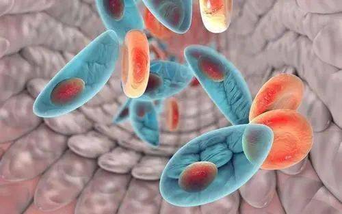 困擾多年的生殖器潰瘍，竟是因為生殖激素失衡