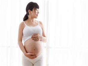 試管嬰兒為何也會發(fā)生宮外孕？醫(yī)生解析與生殖激素的作用