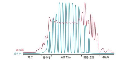 當(dāng)抑郁癥在更年期悄悄來臨 生殖激素的角色與應(yīng)對