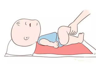 關于男寶生殖激素與睪丸發育的科普