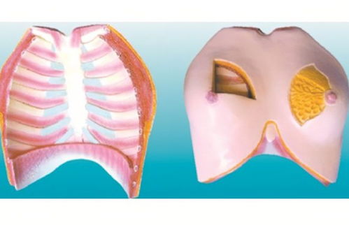 晚上經(jīng)常吸女性乳房，健康嗎？醫(yī)生提醒男人 放過(guò)妻子吧